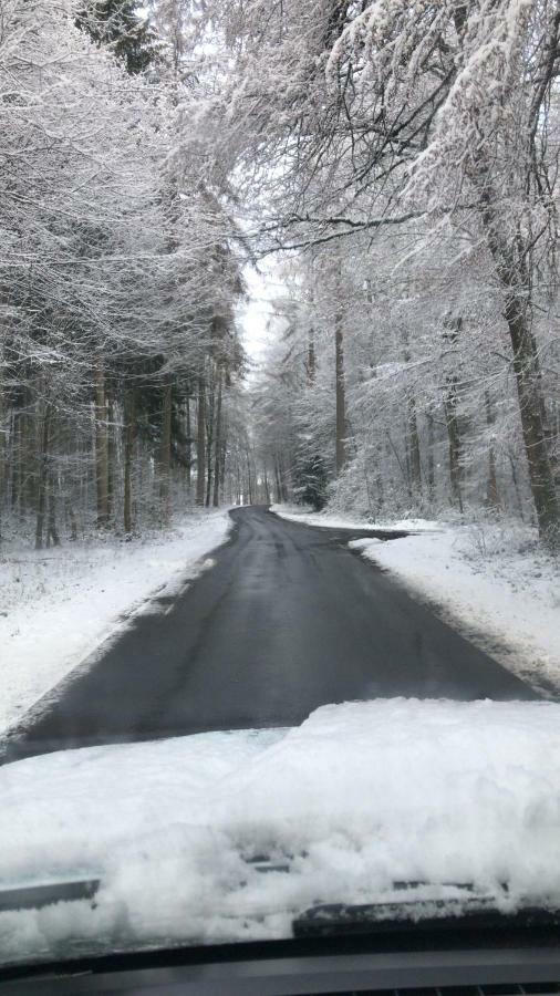 Pension Am Waldeck Hohentengen エクステリア 写真